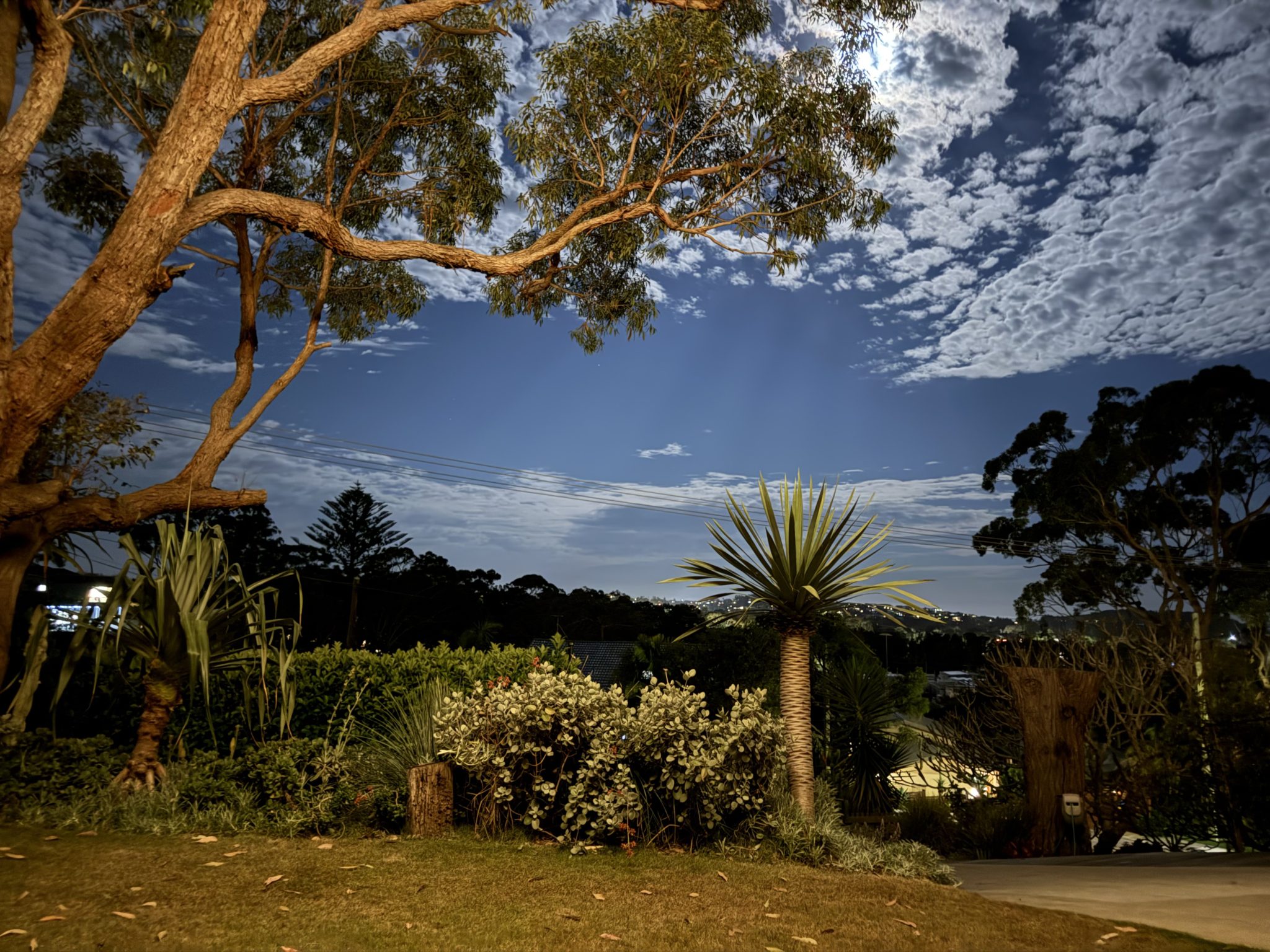 Treetops Beach House | Coastal Shoot Location | Northern Beaches, NSW
