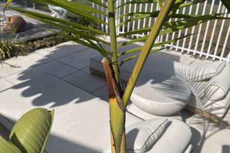 Chinny Beach House | Luxe Coastal Queenslander Photoshoot Location | Kingscliff, NSW