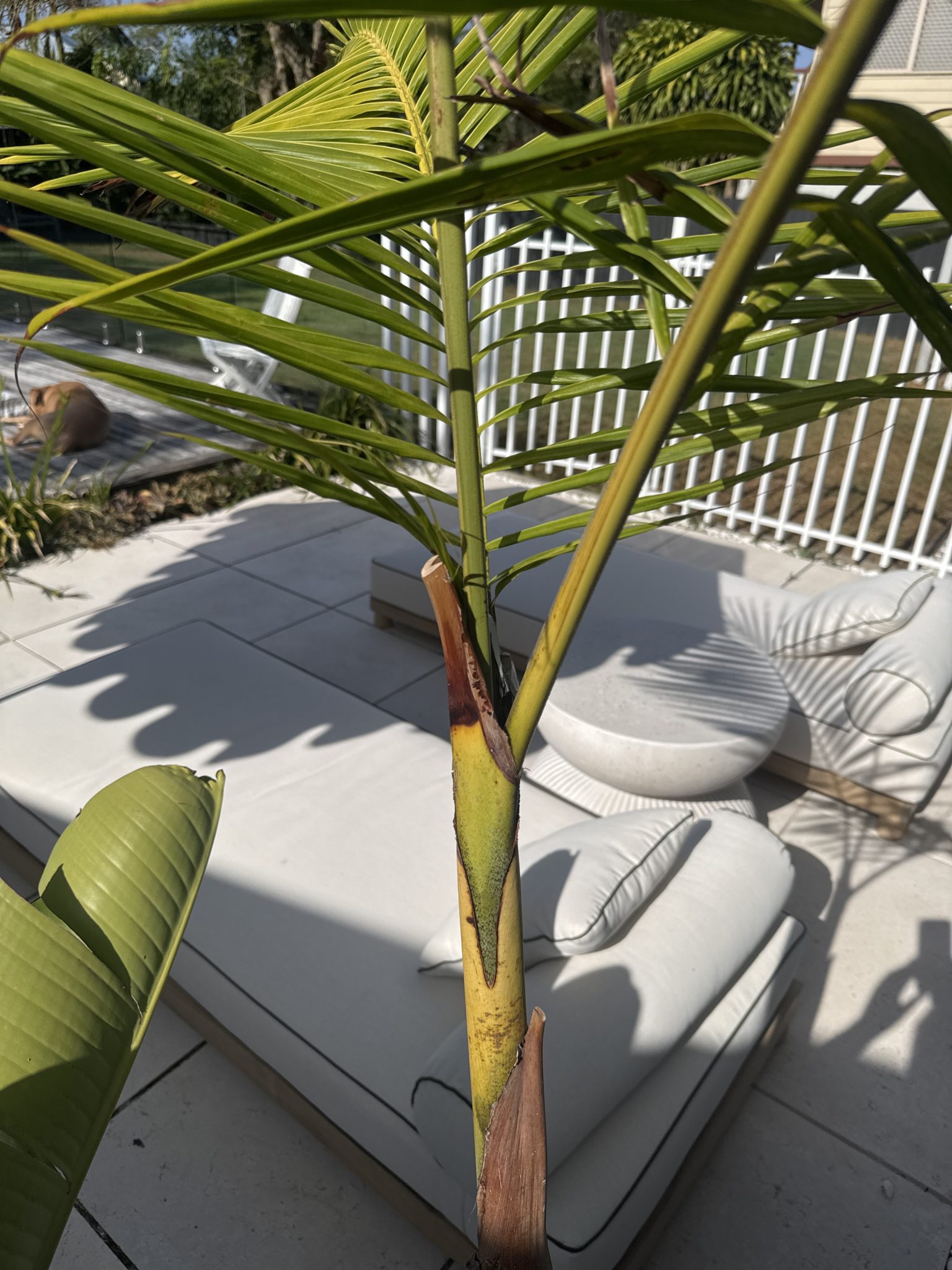 Chinny Beach House | Luxe Coastal Queenslander Photoshoot Location | Kingscliff, NSW