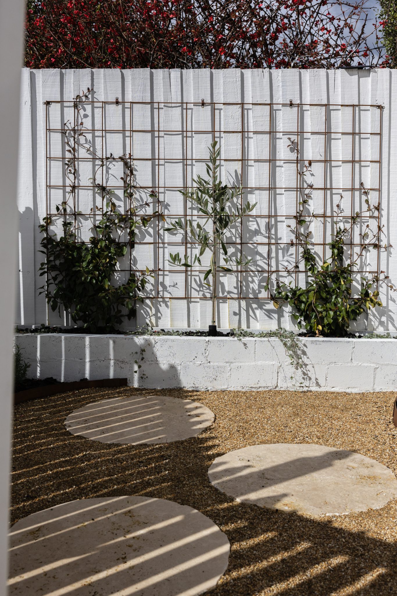 Modern Character Home | Mediterranean Photoshoot Location | Greater Geelong, VIC