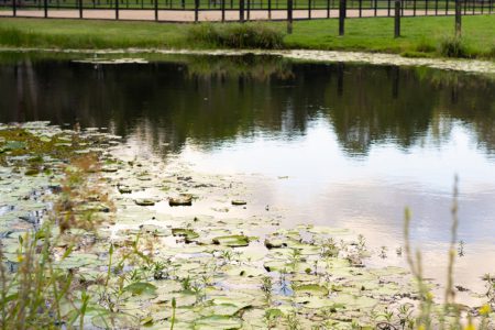 Laguna Grove | Modern Country Photoshoot Location | Noosa Hinterland, QLD