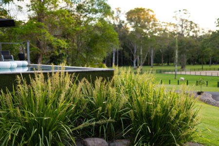 Laguna Grove | Modern Country Photoshoot Location | Noosa Hinterland, QLD