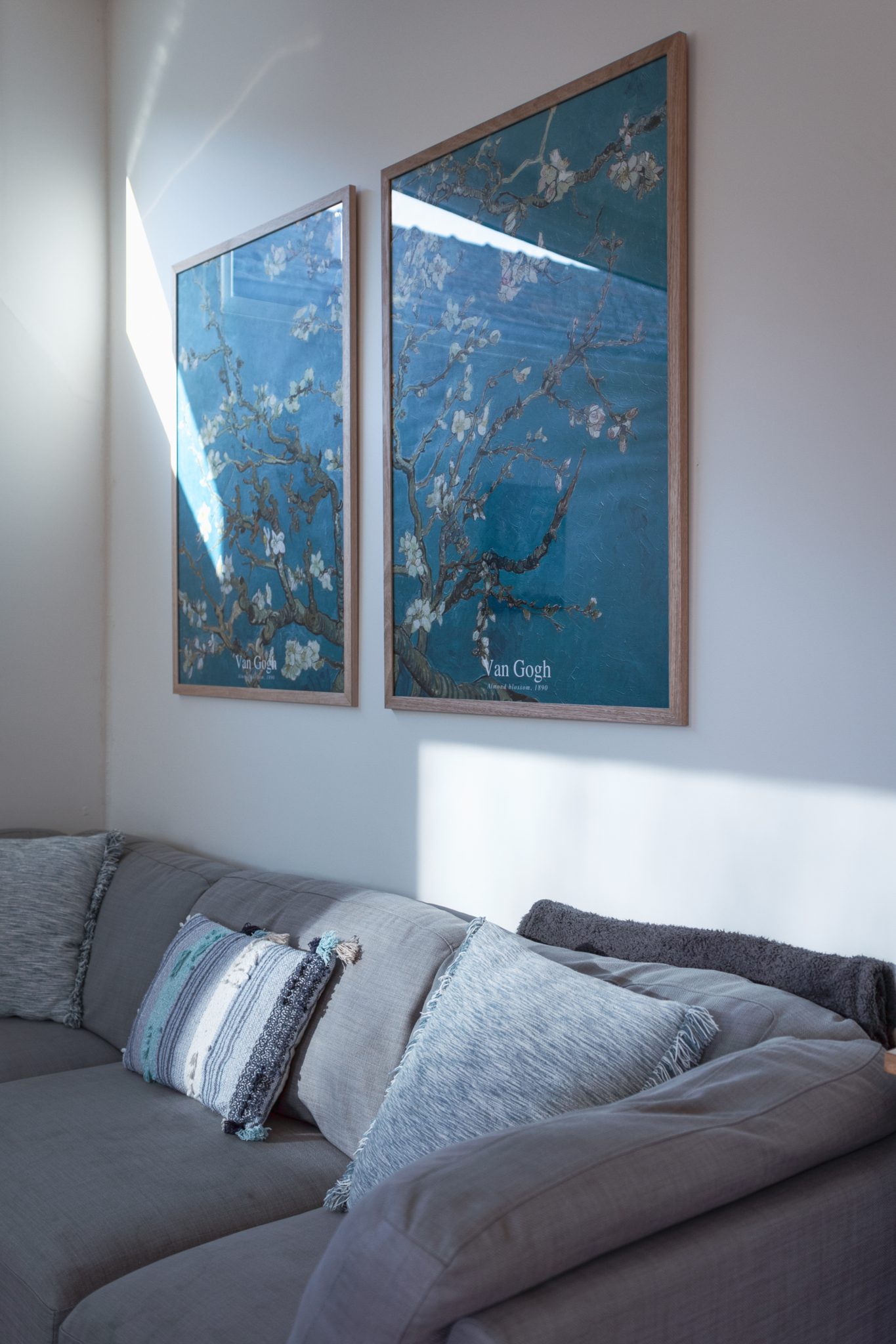 West Footscray Bungalow | Californian Photoshoot Location | West Footscray, VIC