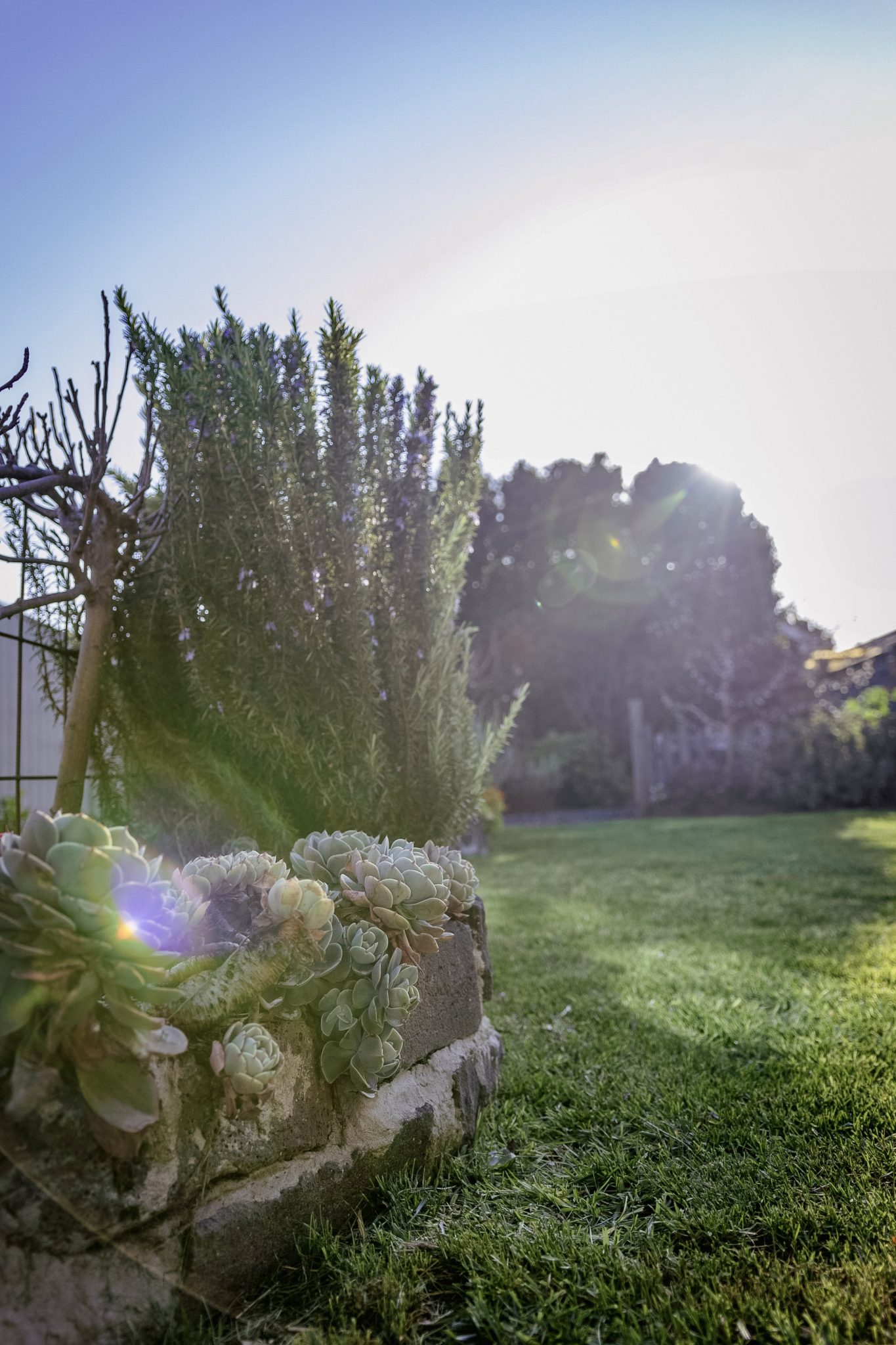 West Footscray Bungalow | Californian Photoshoot Location | West Footscray, VIC