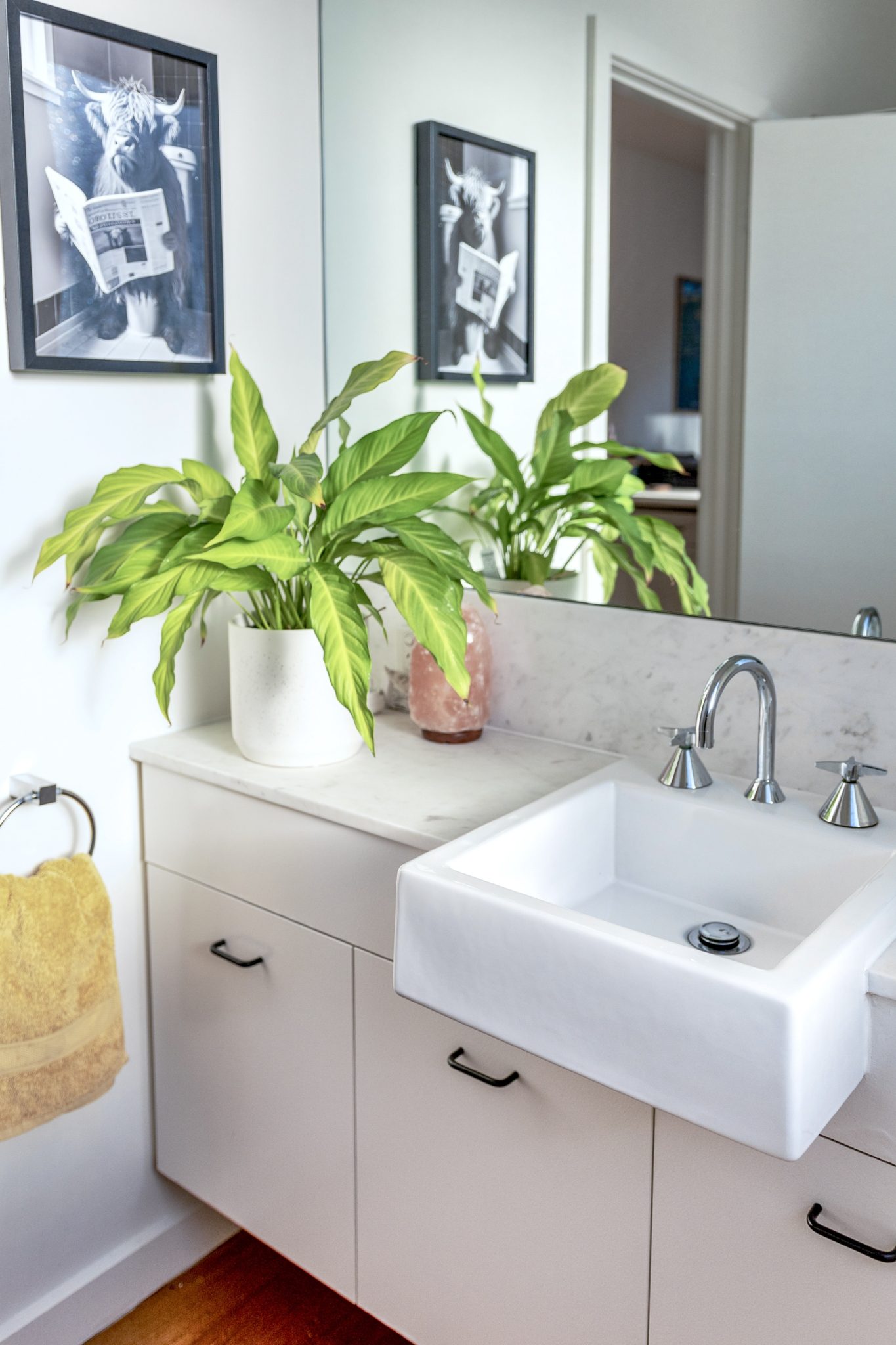 West Footscray Bungalow | Californian Photoshoot Location | West Footscray, VIC