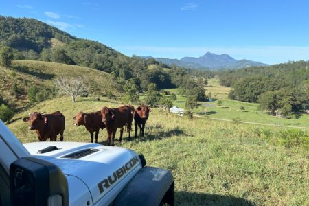 Crystal Creek Park | Traditional Country Farmhouse Shoot Location | Upper Crystal Creek, NSW