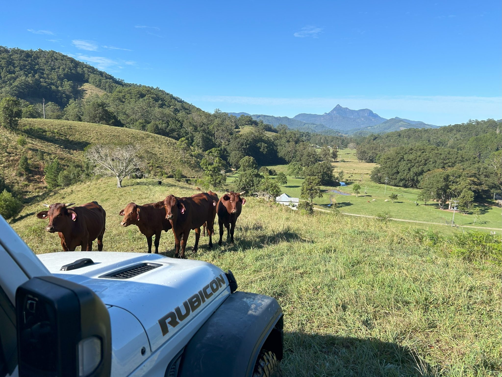 Crystal Creek Park | Traditional Country Farmhouse Shoot Location | Upper Crystal Creek, NSW