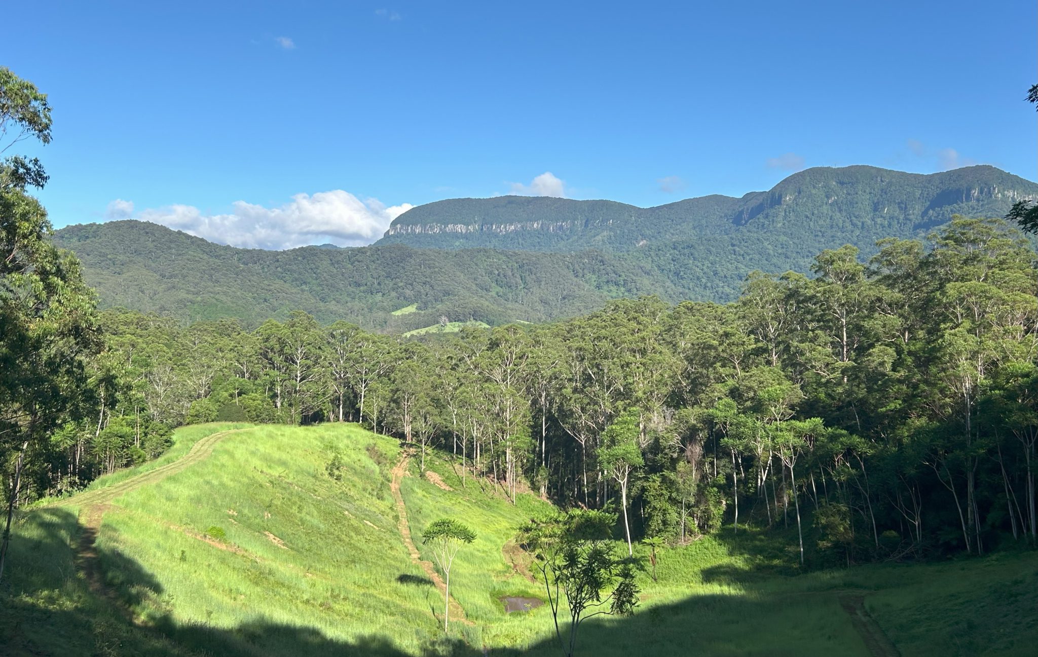 Crystal Creek Park | Traditional Country Farmhouse Shoot Location | Upper Crystal Creek, NSW