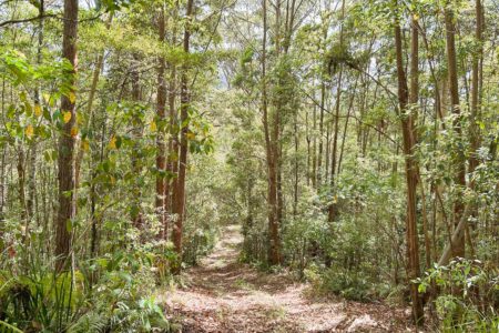 Crystal Creek Park | Traditional Country Farmhouse Shoot Location | Upper Crystal Creek, NSW