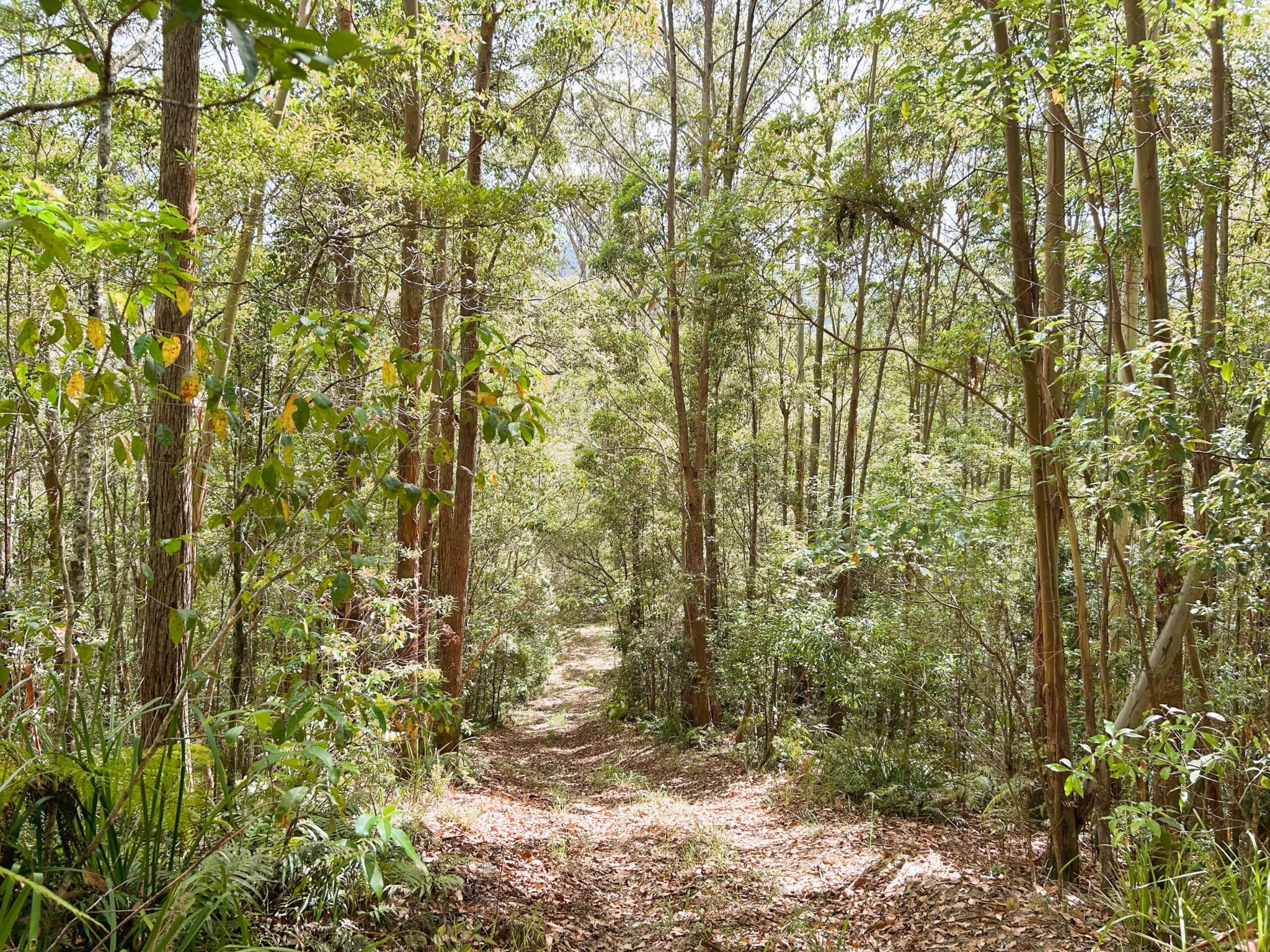 Crystal Creek Park | Traditional Country Farmhouse Shoot Location | Upper Crystal Creek, NSW