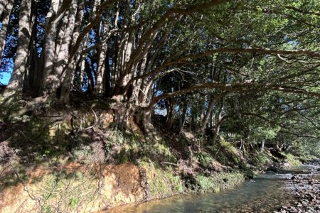 Crystal Creek Park | Traditional Country Farmhouse Shoot Location | Upper Crystal Creek, NSW