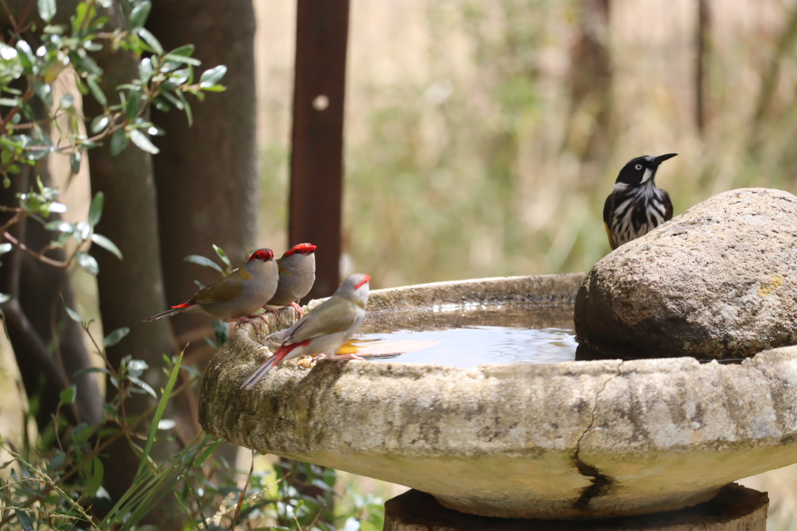 Plumfield Farm | Rustic Farmhouse & Shearing Shed Photoshoot Location | Burnbank, VIC