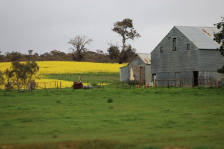 Plumfield Farm | Rustic Farmhouse & Shearing Shed Photoshoot Location | Burnbank, VIC