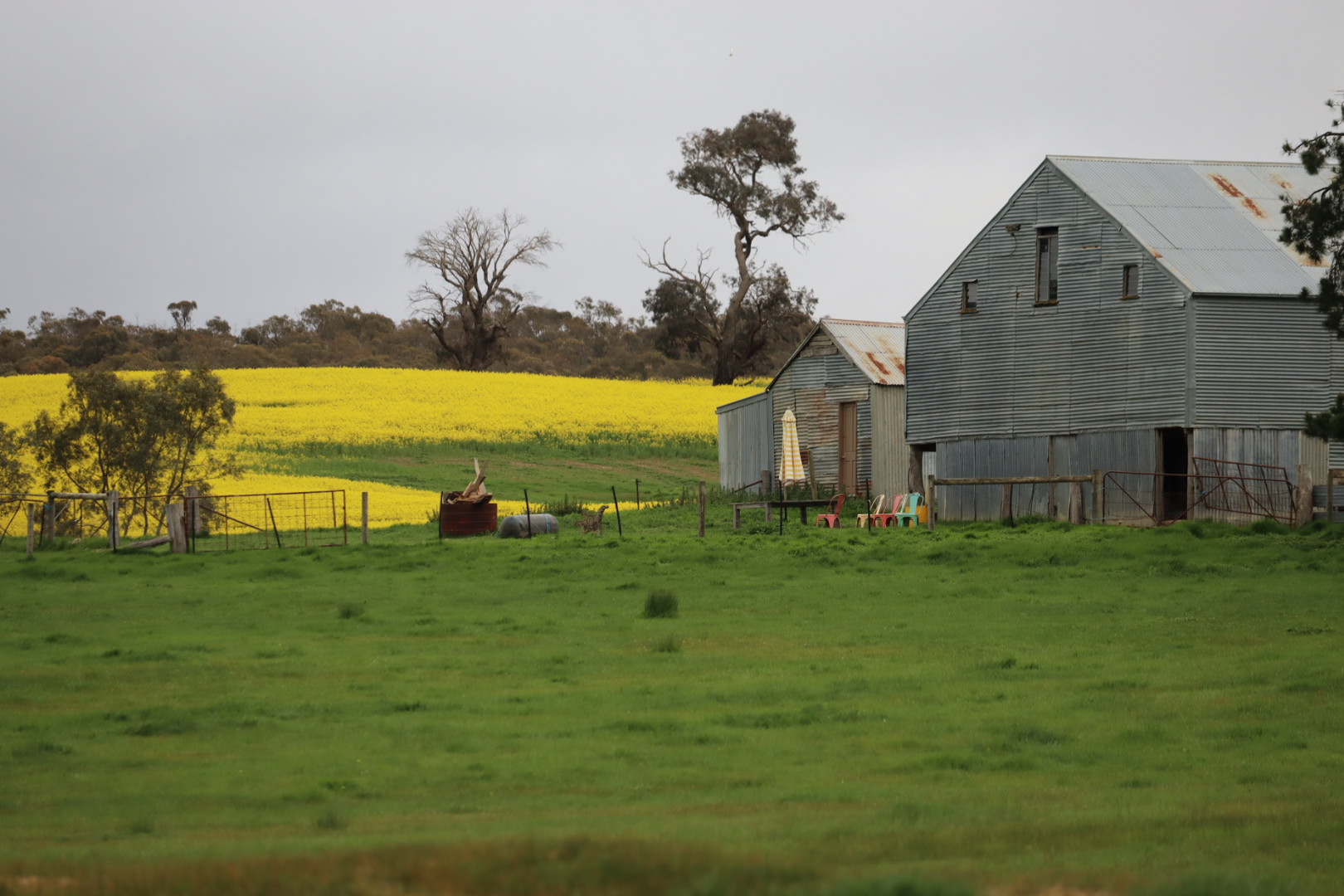Plumfield Farm | Rustic Farmhouse & Shearing Shed Photoshoot Location | Burnbank, VIC