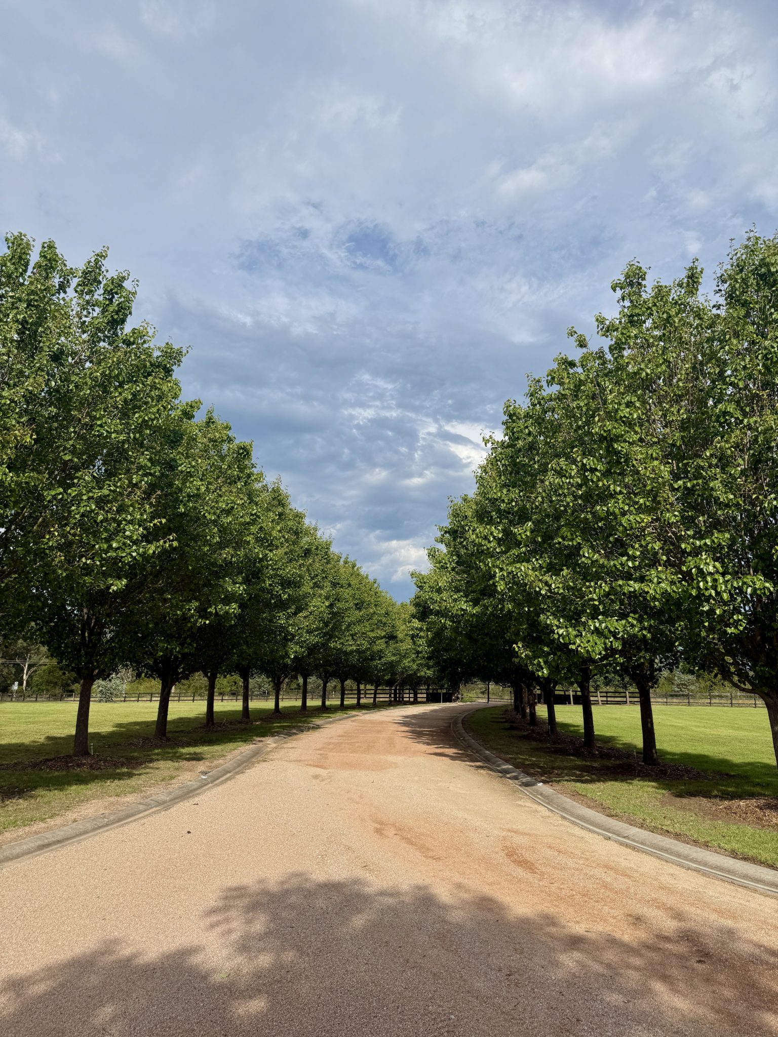The Willows | Heritage Cottage Shoot Location | Wollondilly, NSW