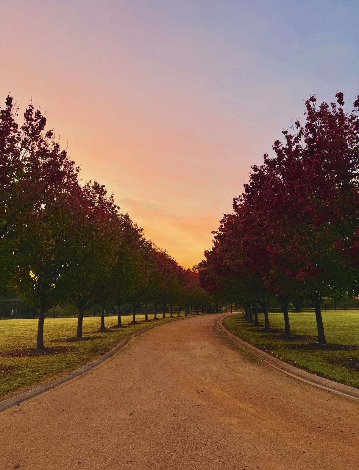 The Willows | Heritage Cottage Shoot Location | Wollondilly, NSW