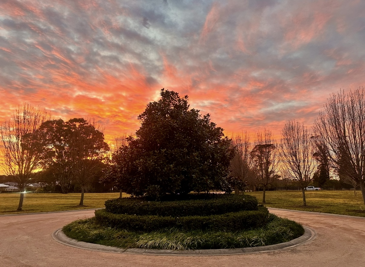 The Willows | Heritage Cottage Shoot Location | Wollondilly, NSW