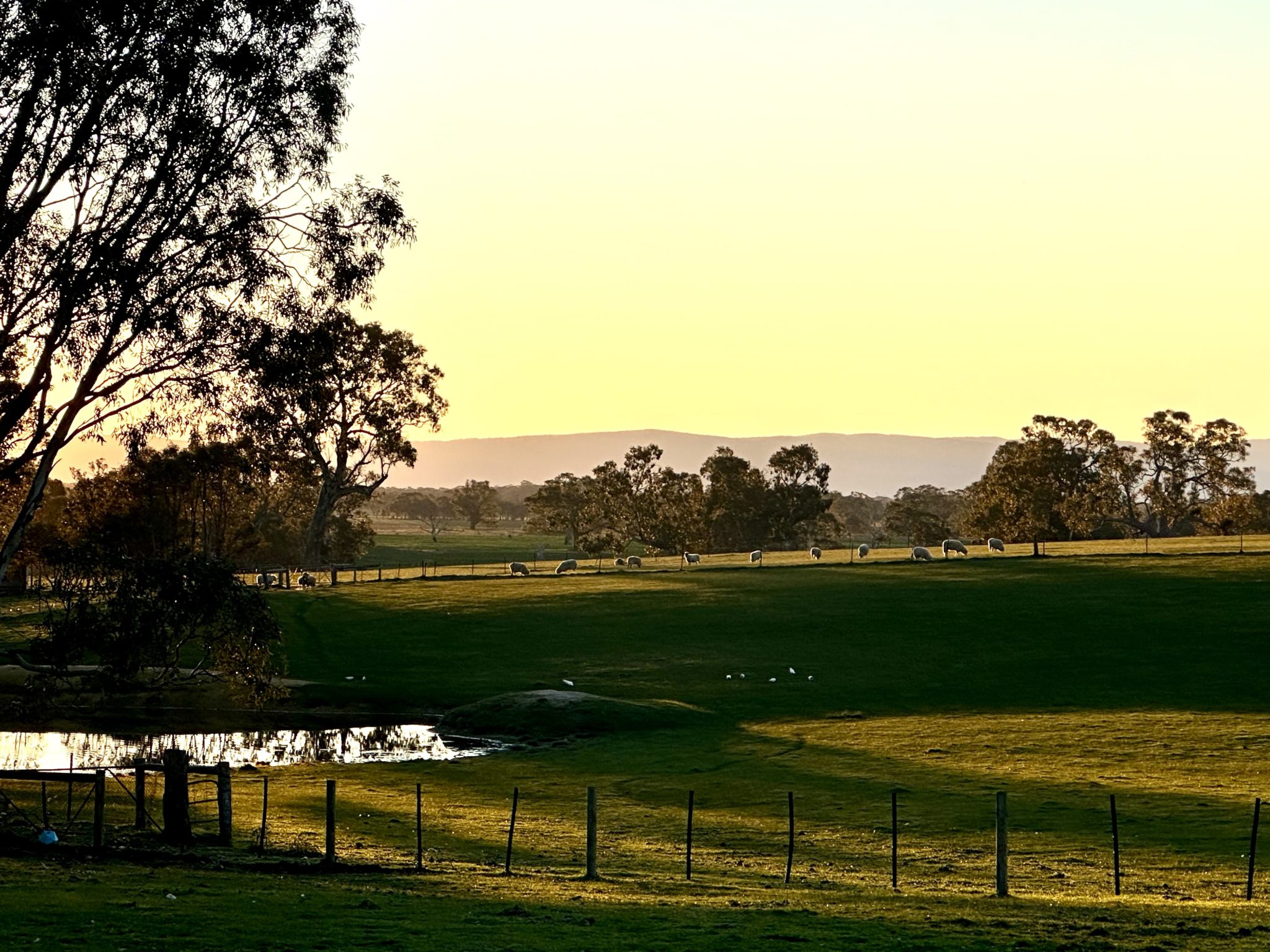 Plumfield Farm | Rustic Farmhouse & Shearing Shed Photoshoot Location | Burnbank, VIC
